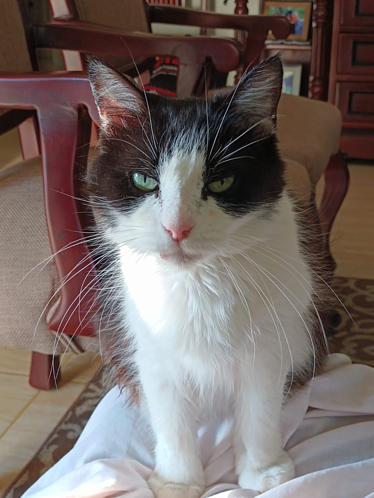 You will be remembered, always